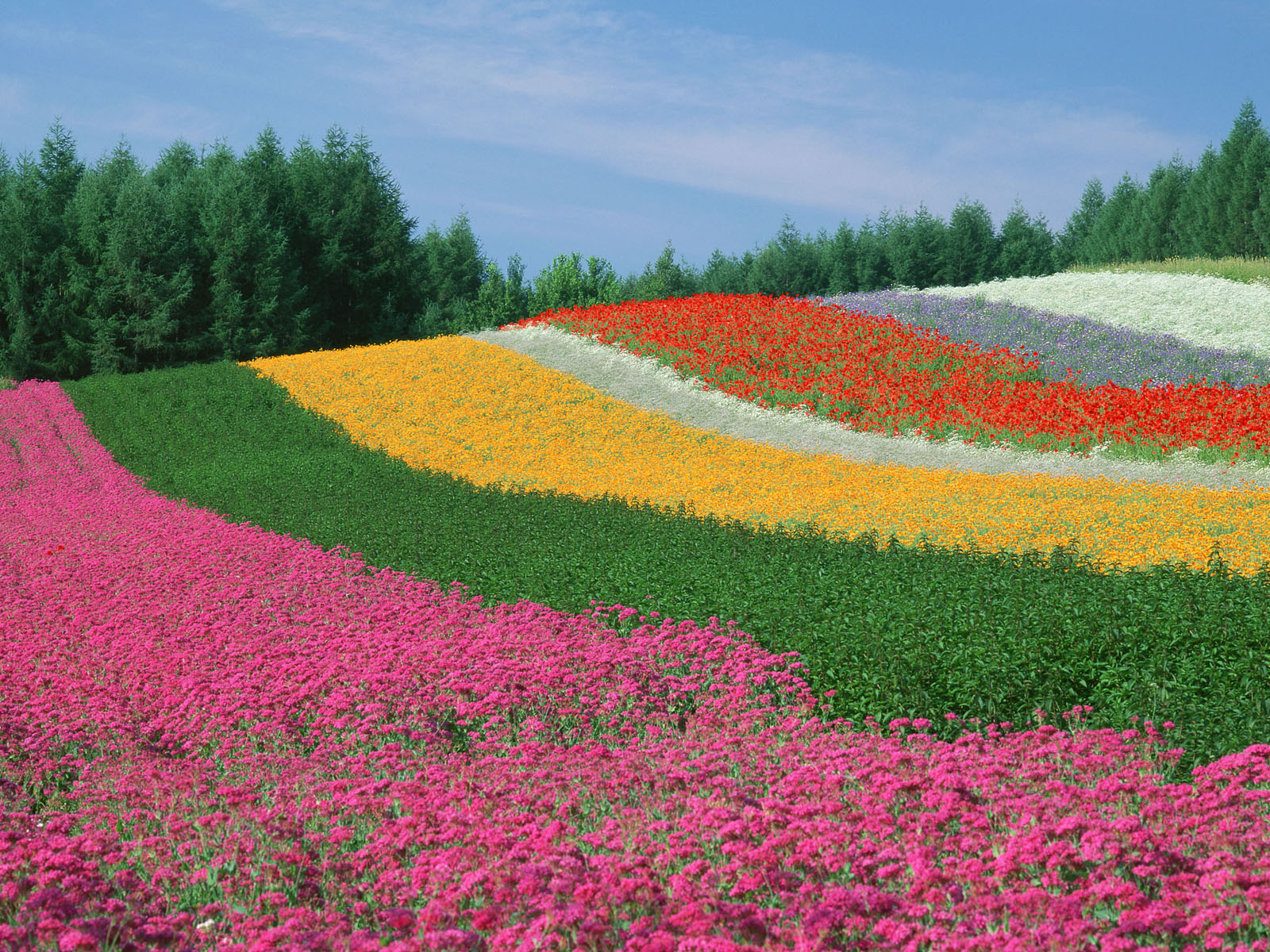 Most Beautiful Flower Gardens In The World
